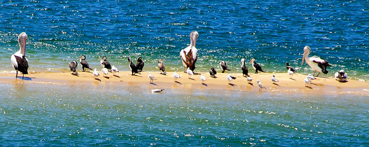 Amazing Australia gallery