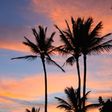 Hawaiian Sunrise
