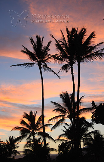 Hawaiian Sunrise