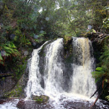 Hogarth Falls