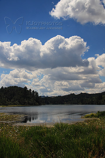 Serene NZ Scene