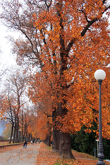 Lucca's Fall Colors