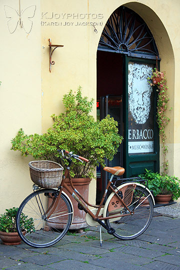 Lucca Transport