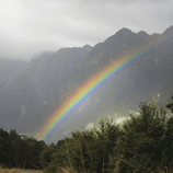 NZ Rainbow