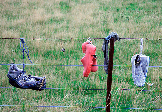 Colorful Shoes on a Fence