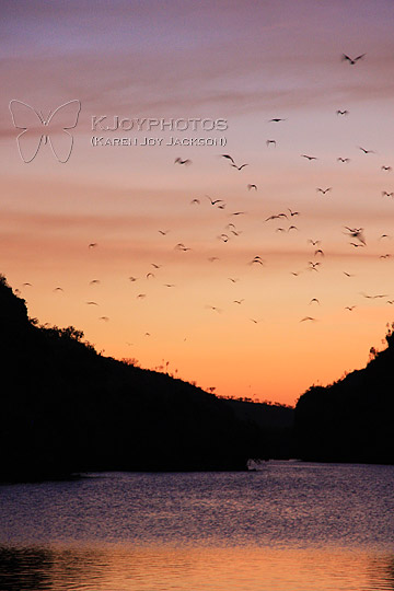 Sunset Flight