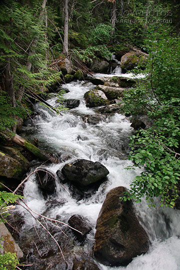 Rushing Stream - Leavenworth, Washington
